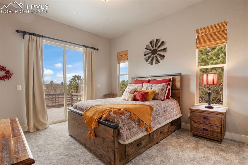 2798 Hawk Point Court Castle Rock CO 80104