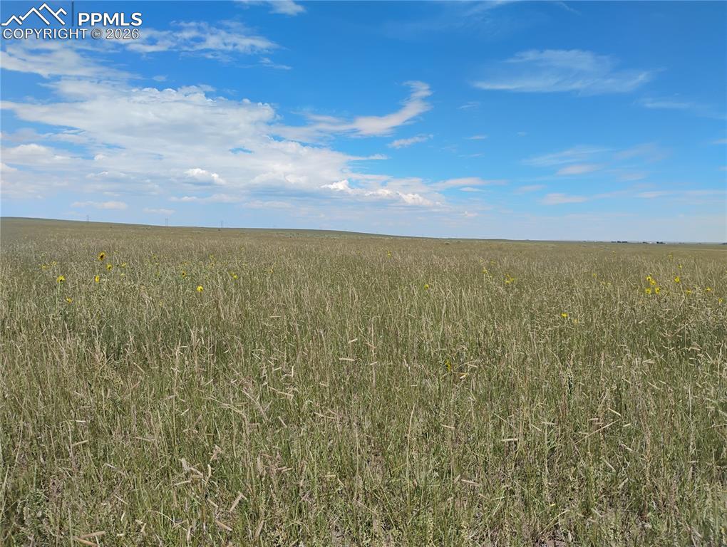 19981 Cloudfield Point Colorado Springs CO 80928