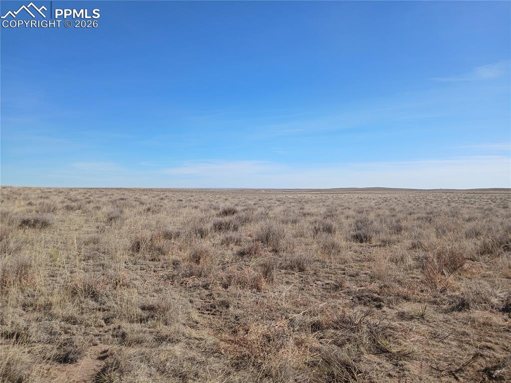 19981 Cloudfield Point Colorado Springs CO 80928