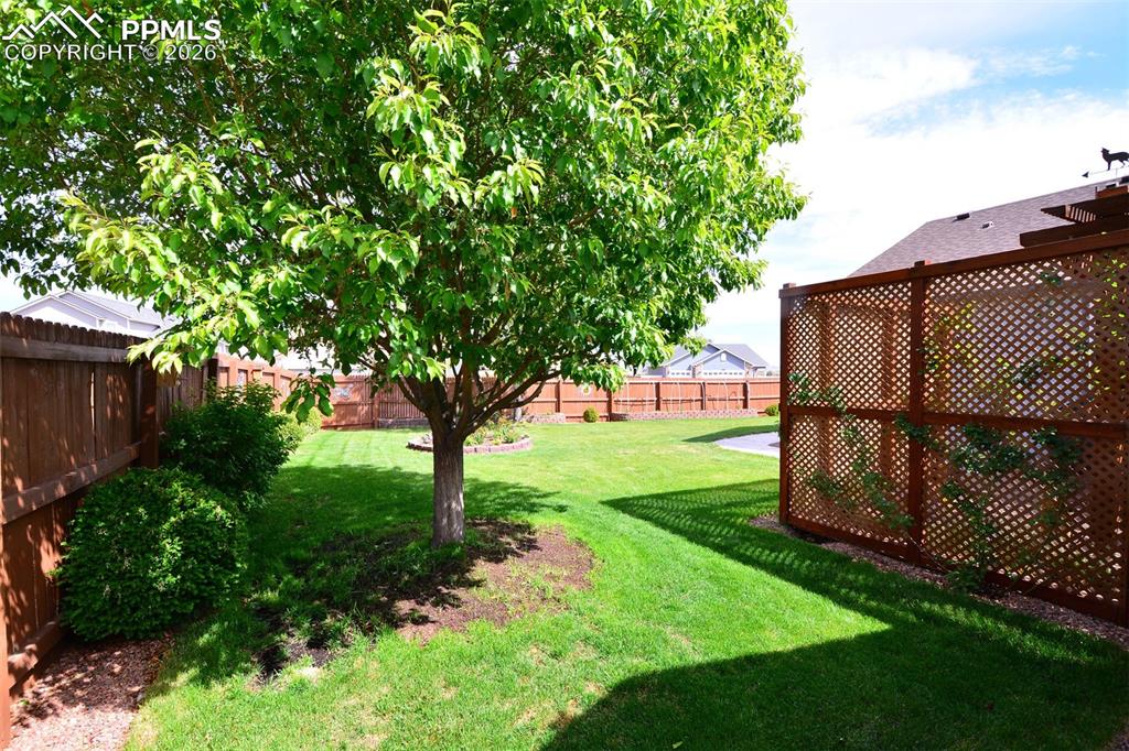 7410 Sun Prairie Drive Colorado Springs CO 80925