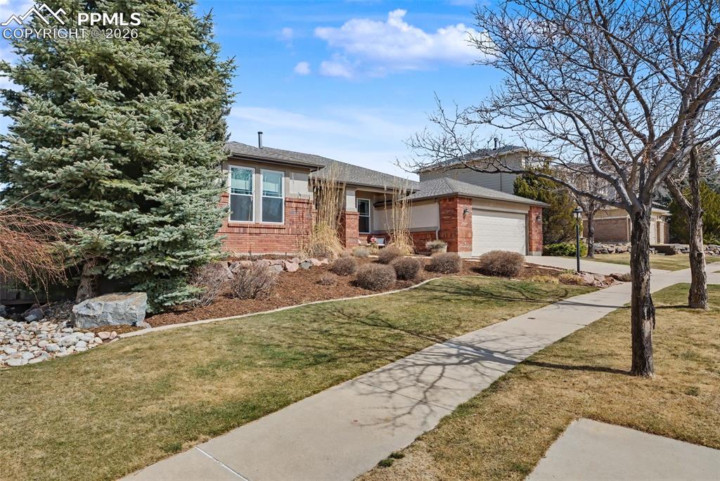 2890 Blackwood Place Colorado Springs CO 80920