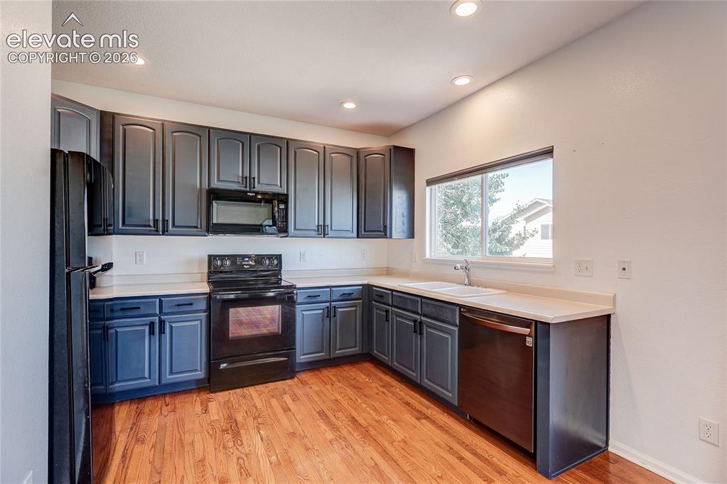 14174 Albatross Drive Colorado Springs CO 80921