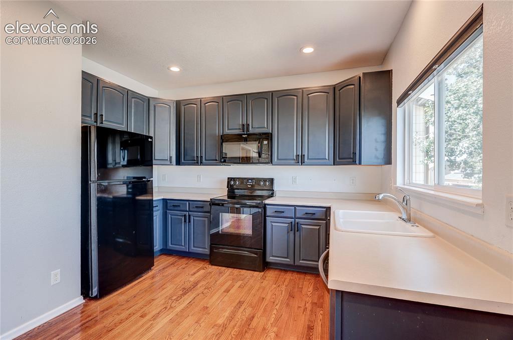 14174 Albatross Drive Colorado Springs CO 80921