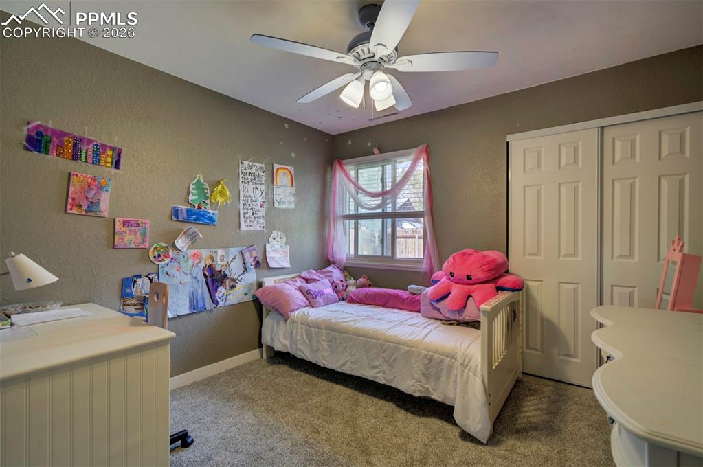 3402 Springnite Drive Colorado Springs CO 80916