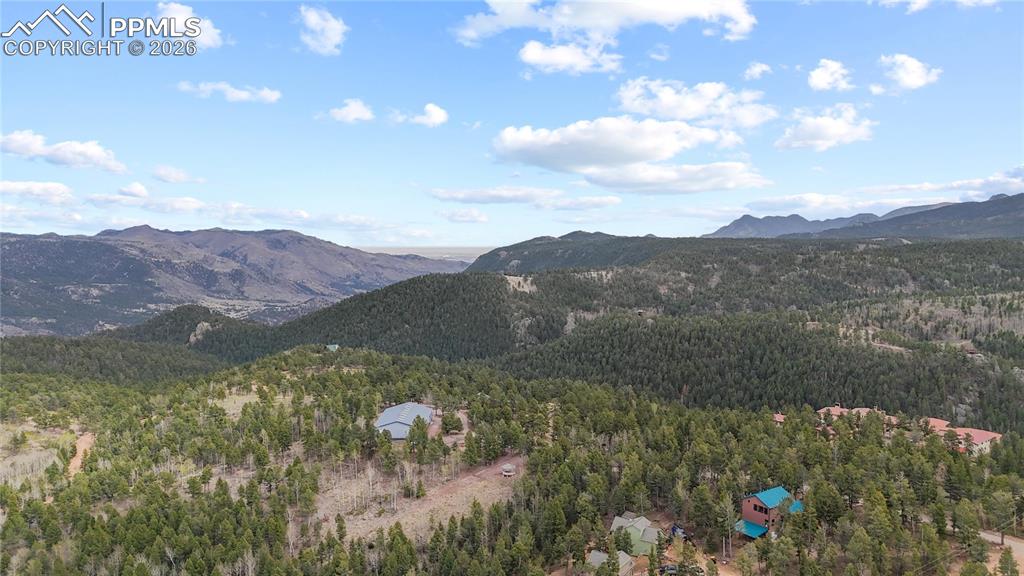 526 Wakanda Trail Woodland Park CO 80863