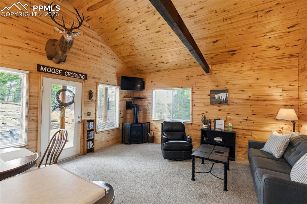 526 Wakanda Trail Woodland Park CO 80863