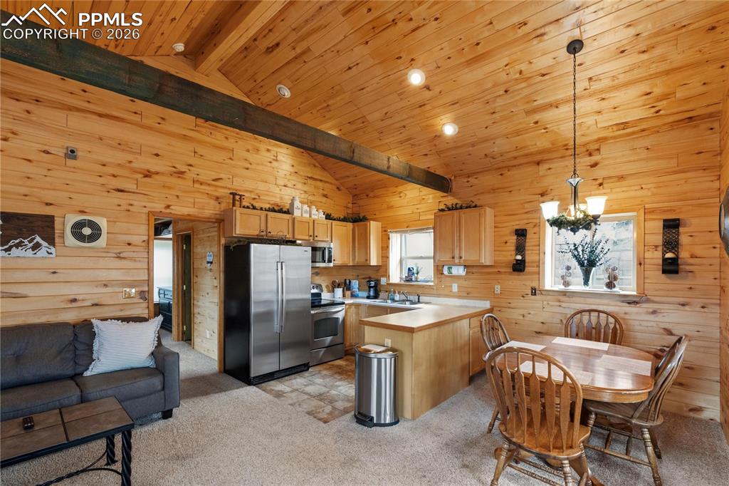 526 Wakanda Trail Woodland Park CO 80863