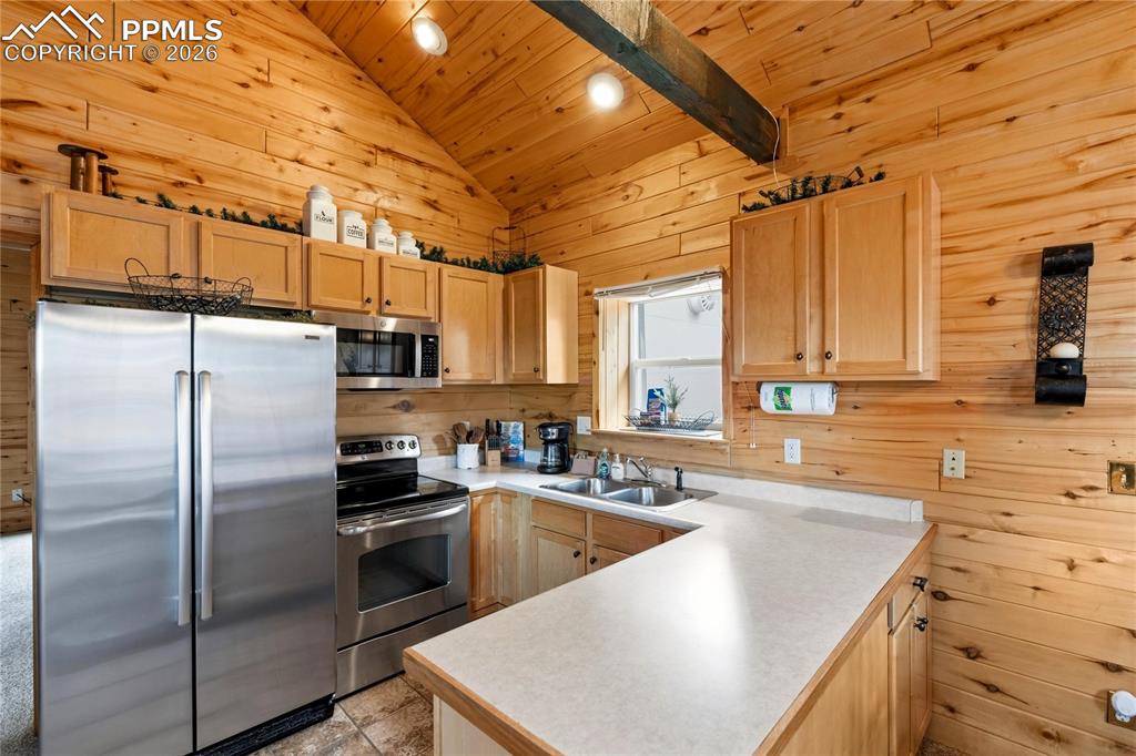 526 Wakanda Trail Woodland Park CO 80863