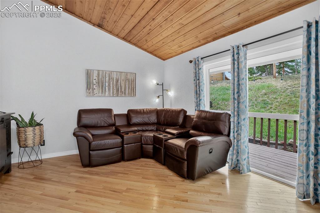 417 W Columbine Avenue Woodland Park CO 80863