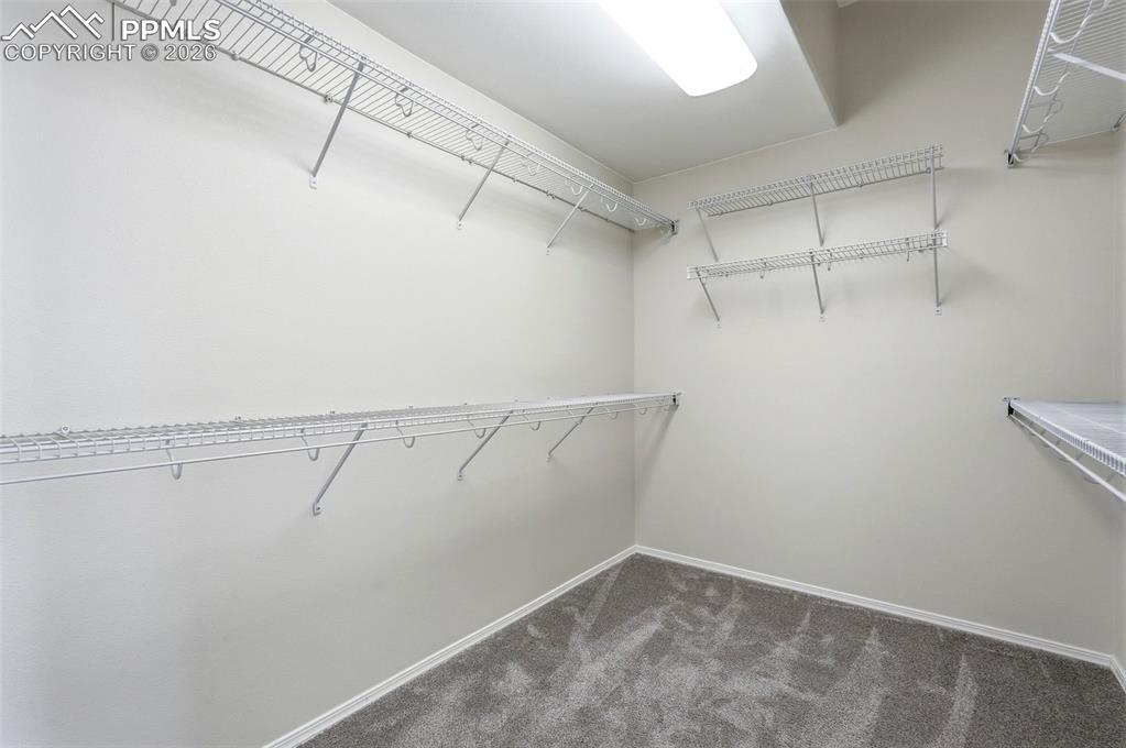 10744 Rhinestone Drive Colorado Springs CO 80908