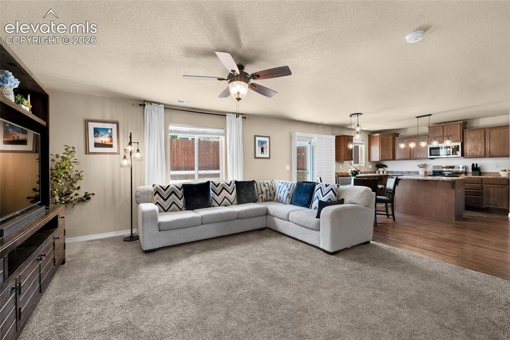 7363 Axis Point Colorado Springs CO 80922