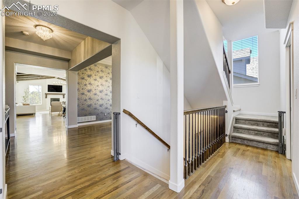 5563 Wolf Village Drive Colorado Springs CO 80924