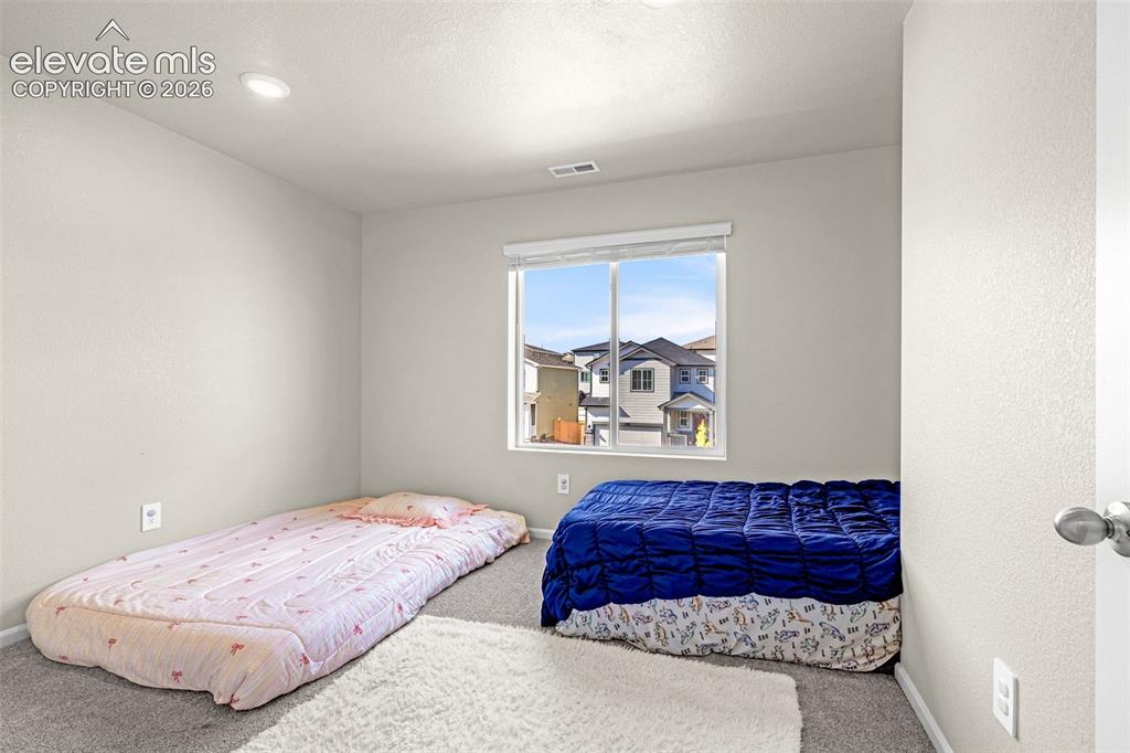 11396 Saugeye Street Colorado Springs CO 80925