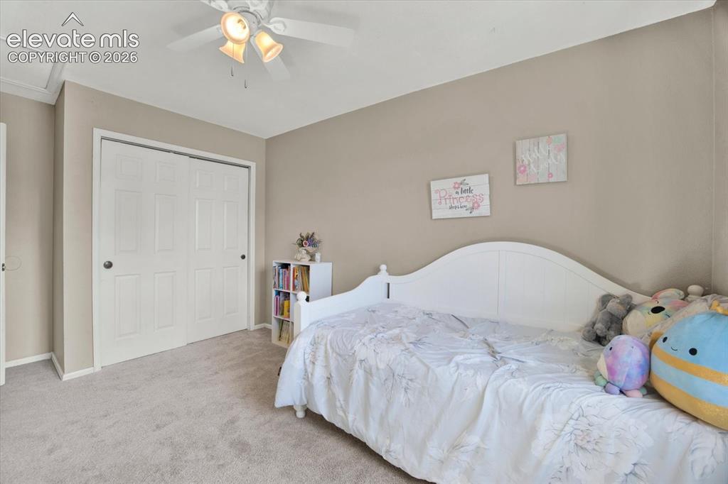 7850 Belford Drive Colorado Springs CO 80920