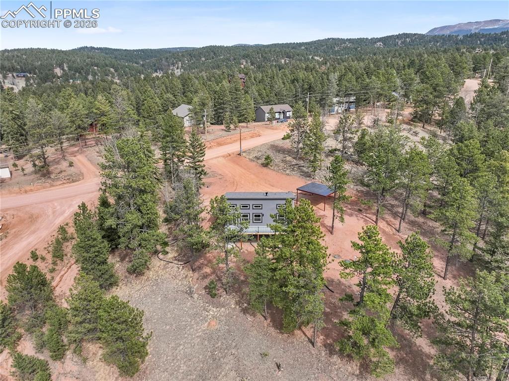 1328 N Mountain Estates Road Florissant CO 80816