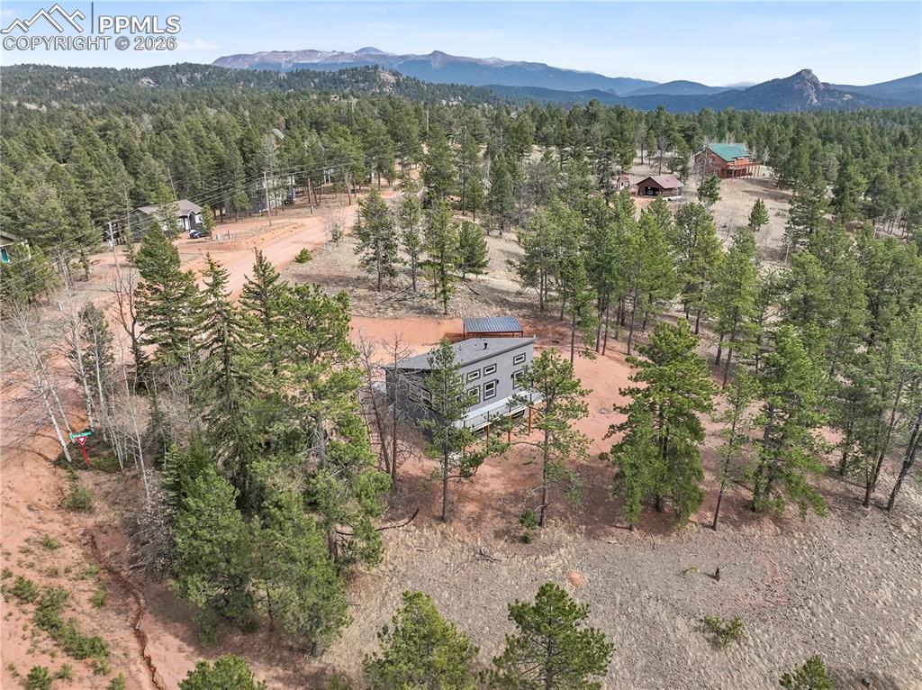1328 N Mountain Estates Road Florissant CO 80816