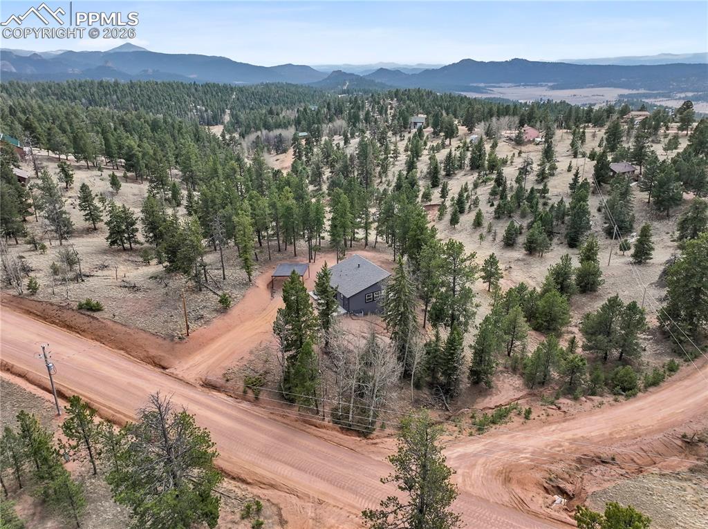 1328 N Mountain Estates Road Florissant CO 80816