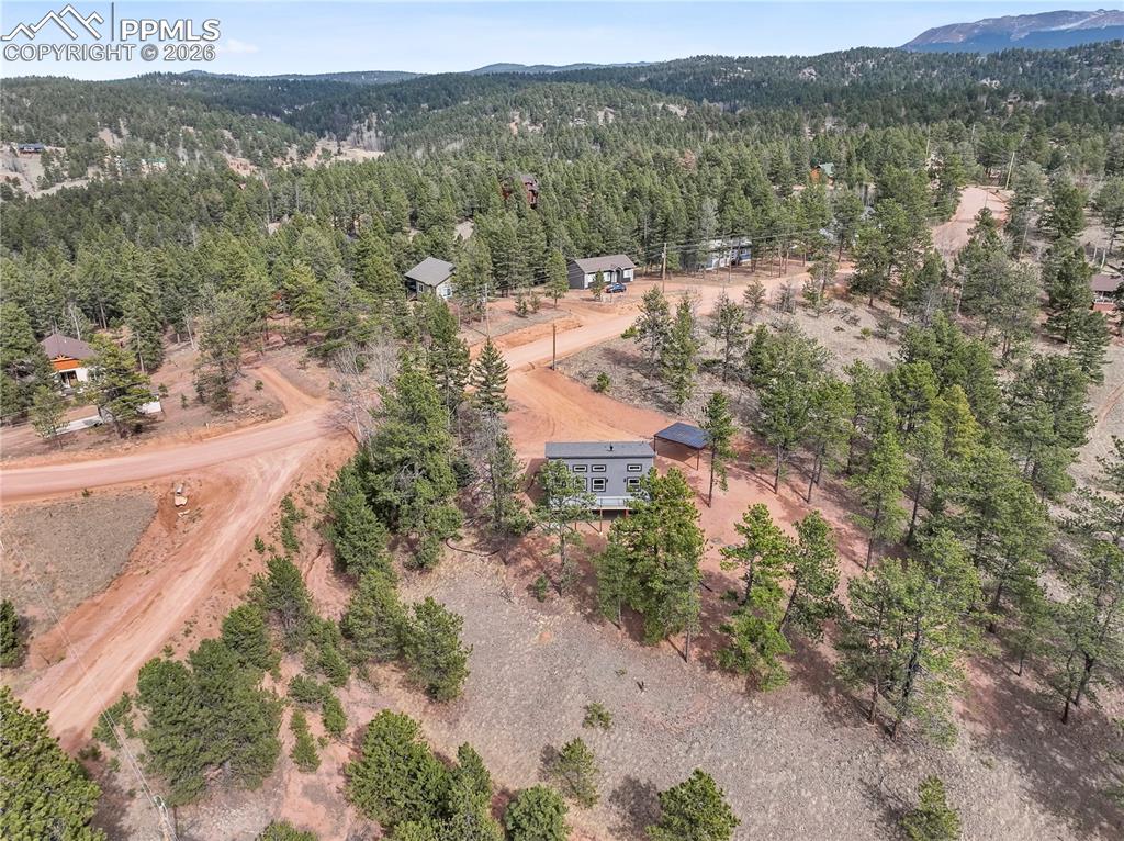 1328 N Mountain Estates Road Florissant CO 80816