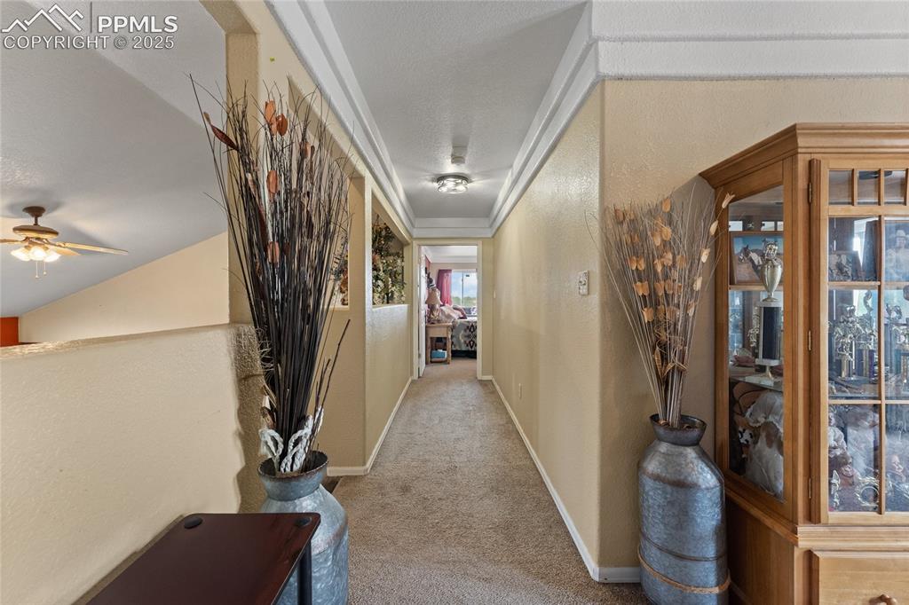 321 W Linden Avenue Pueblo CO 81007
