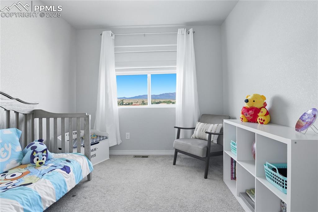 11130 Feliz Way Fountain CO 80817