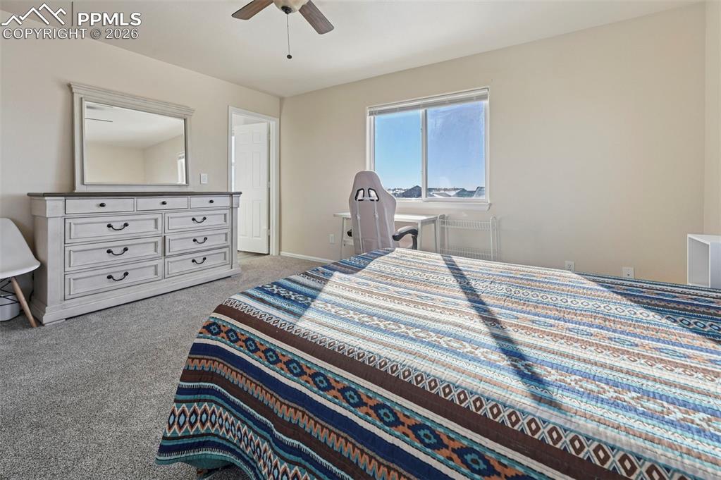 7471 Willow Pines Place Fountain CO 80817