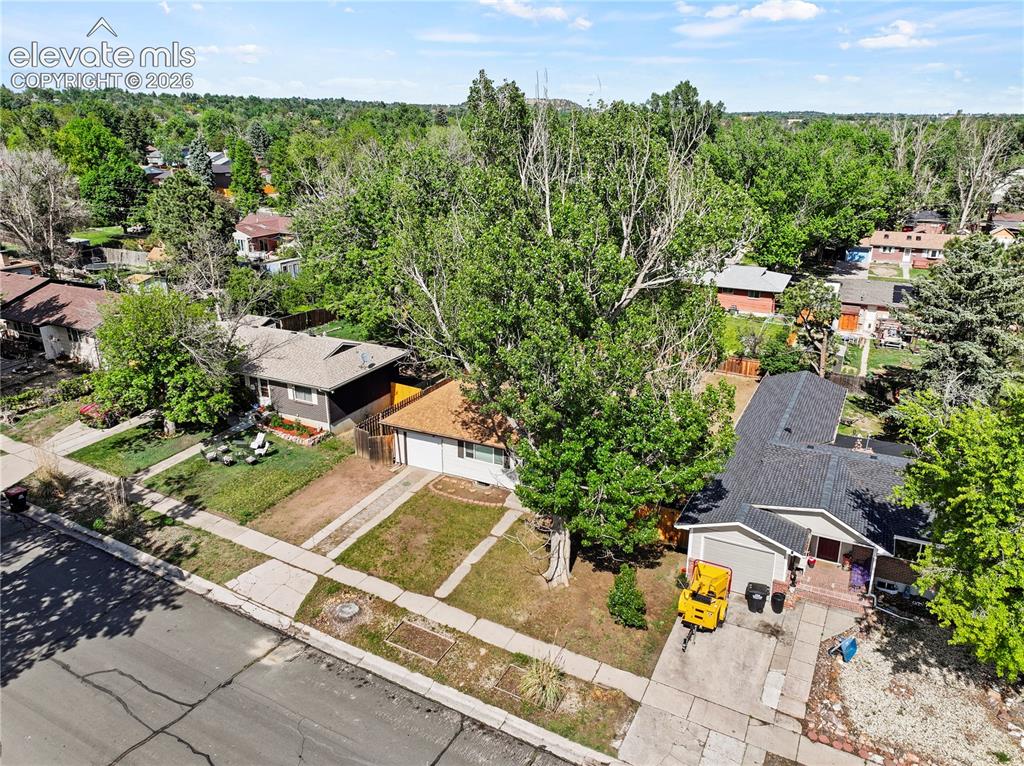 1019 Holmes Drive Colorado Springs CO 80909
