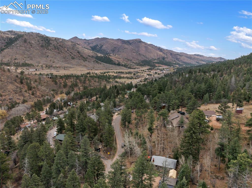 10155 Mountain Road Cascade CO 80809