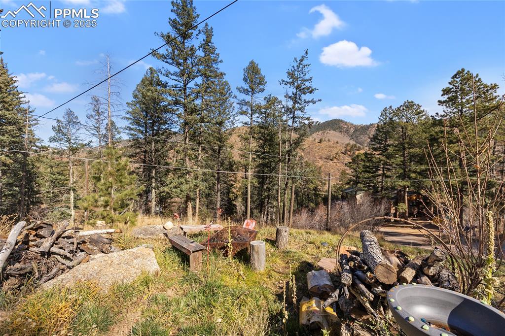 10155 Mountain Road Cascade CO 80809
