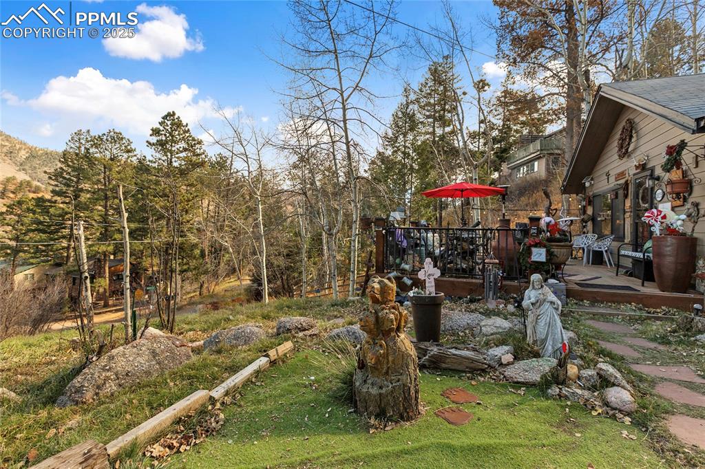 10155 Mountain Road Cascade CO 80809