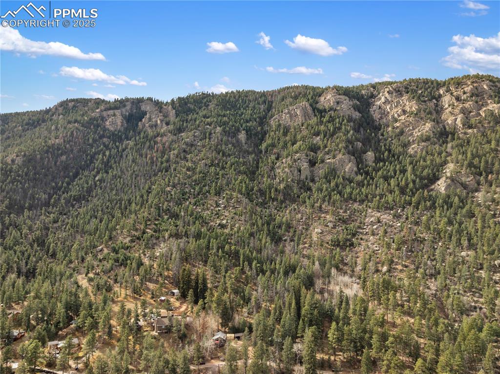 10155 Mountain Road Cascade CO 80809