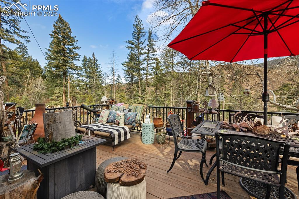10155 Mountain Road Cascade CO 80809