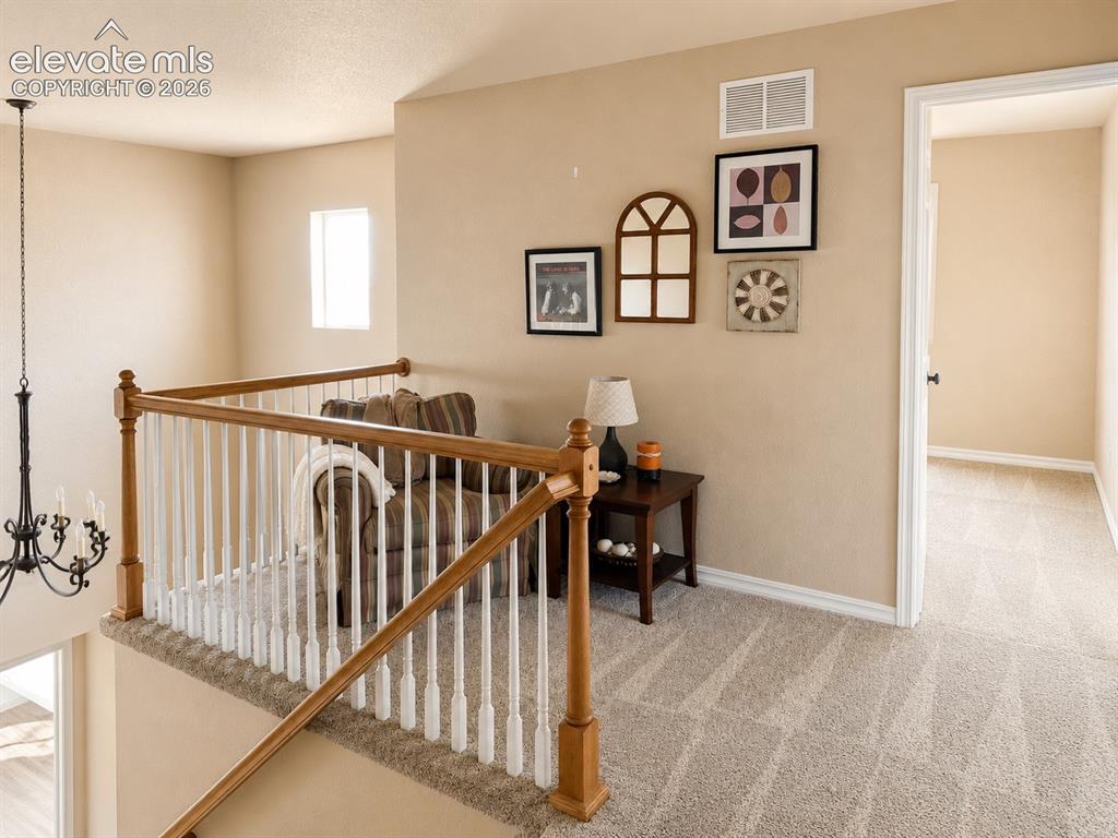 8046 Mount Hayden Drive Colorado Springs CO 80924