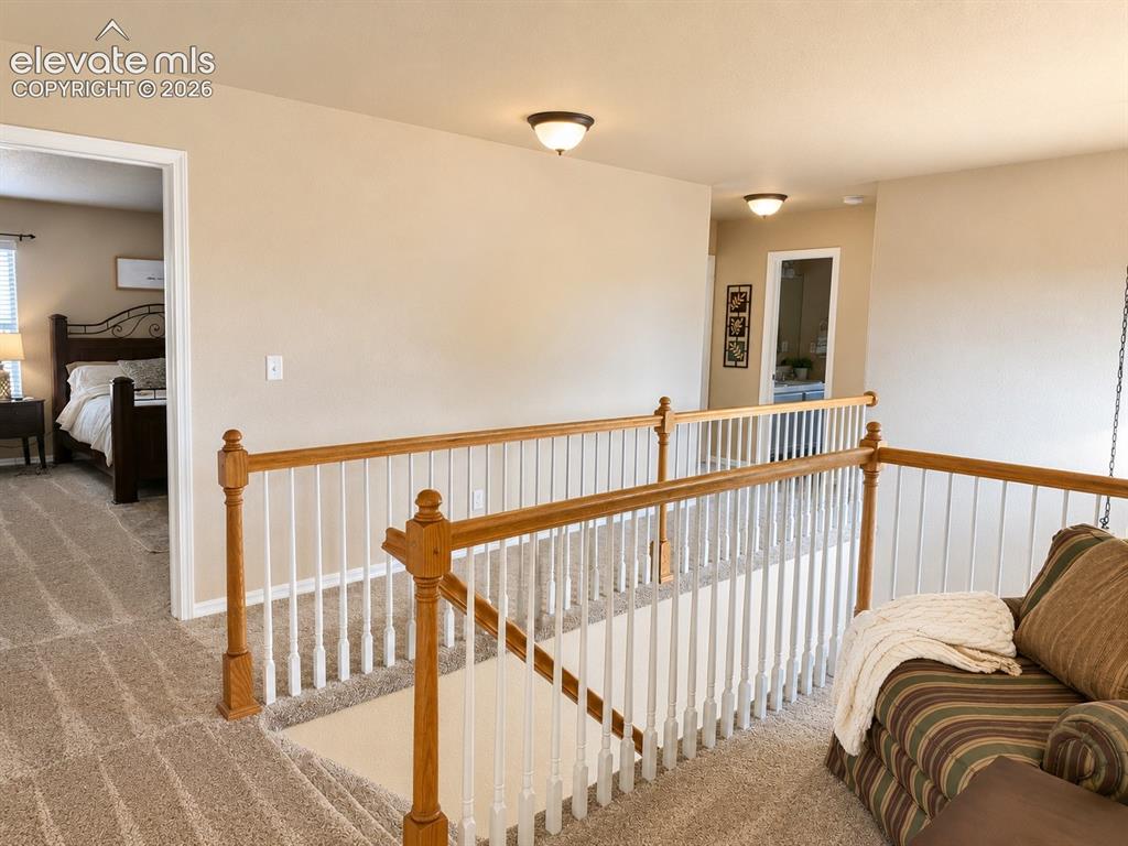 8046 Mount Hayden Drive Colorado Springs CO 80924