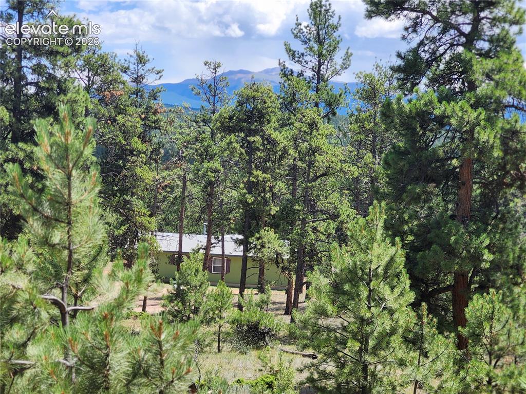 400 Pikes Peak Lane Florissant CO 80816
