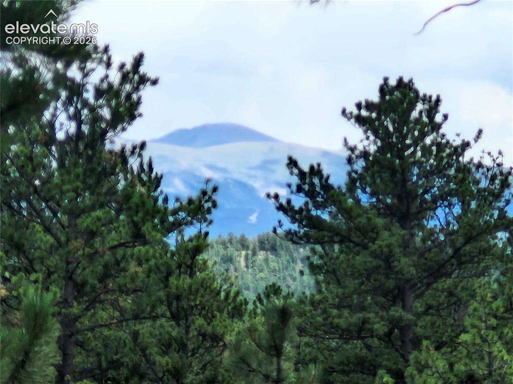 400 Pikes Peak Lane Florissant CO 80816