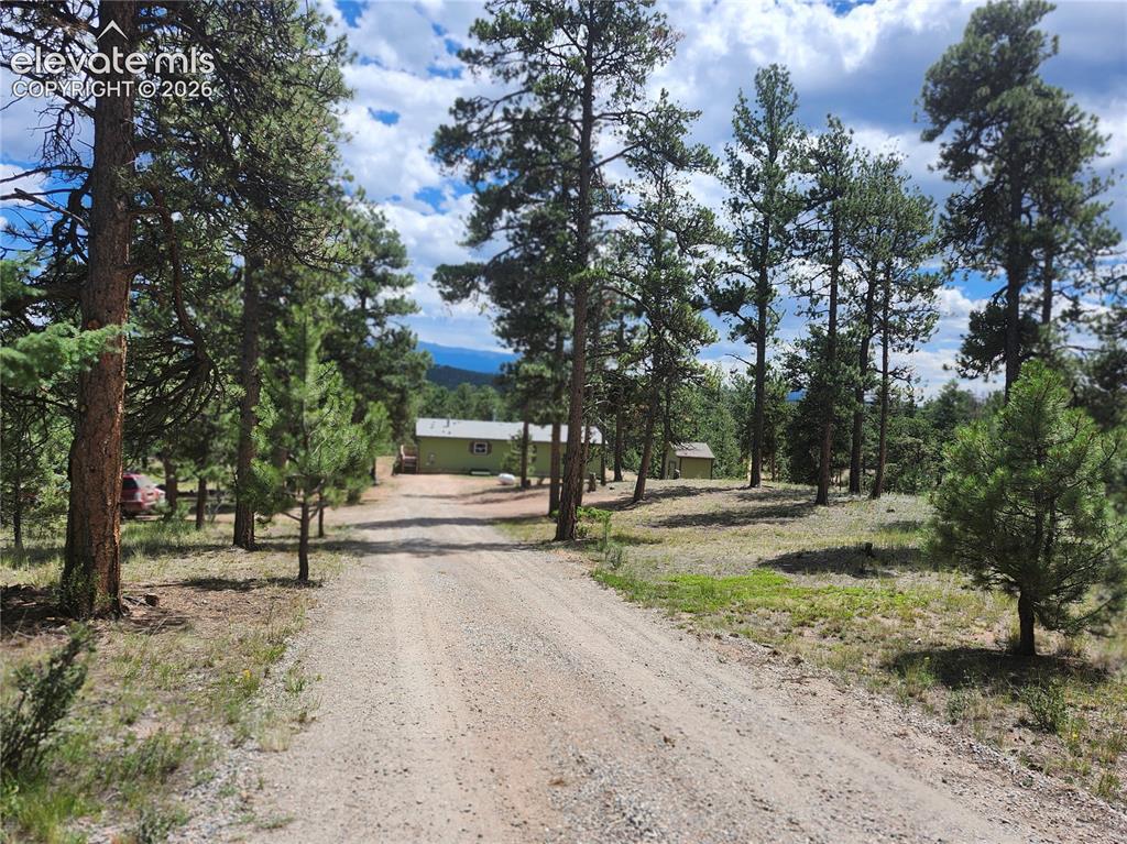 400 Pikes Peak Lane Florissant CO 80816