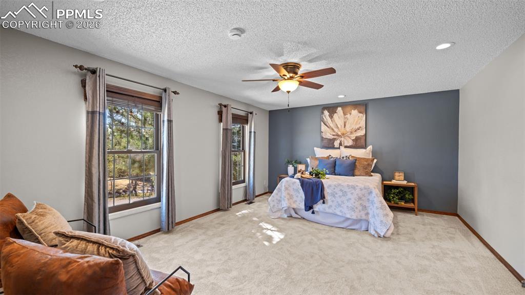 430 Picasso Court Colorado Springs CO 80921