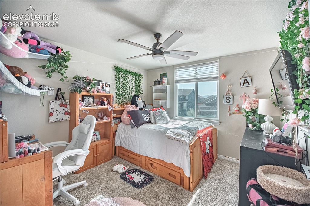 6493 Vedder Drive Colorado Springs CO 80925