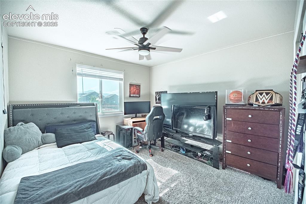 6493 Vedder Drive Colorado Springs CO 80925