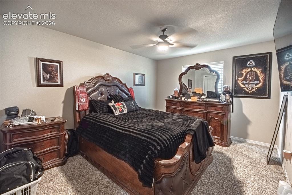 6493 Vedder Drive Colorado Springs CO 80925