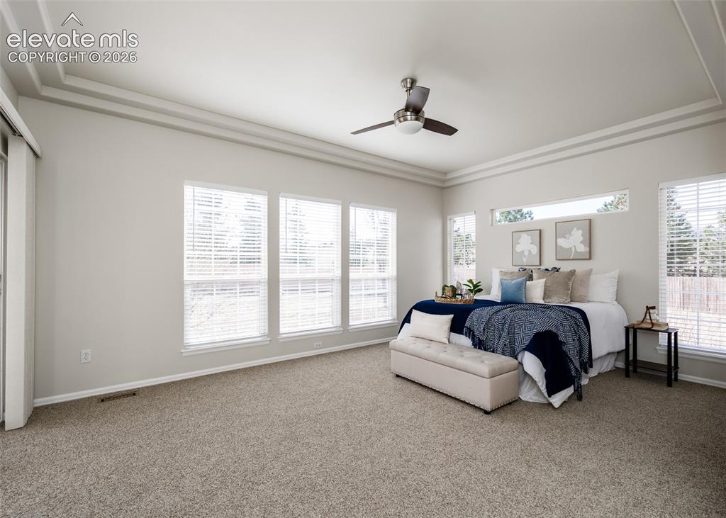 9506 Hollydale Court Colorado Springs CO 80920