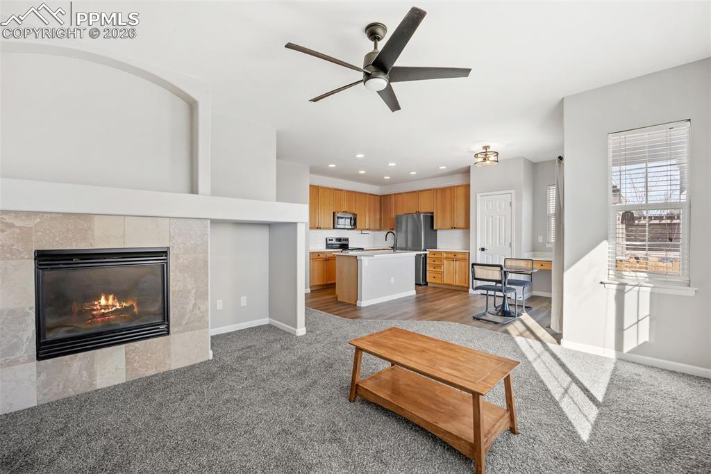 164 Apache Plume Street Brighton CO 80601