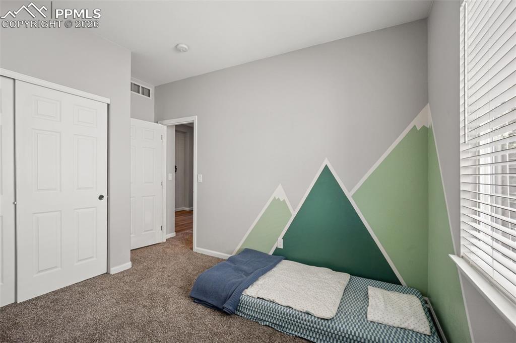 164 Apache Plume Street Brighton CO 80601