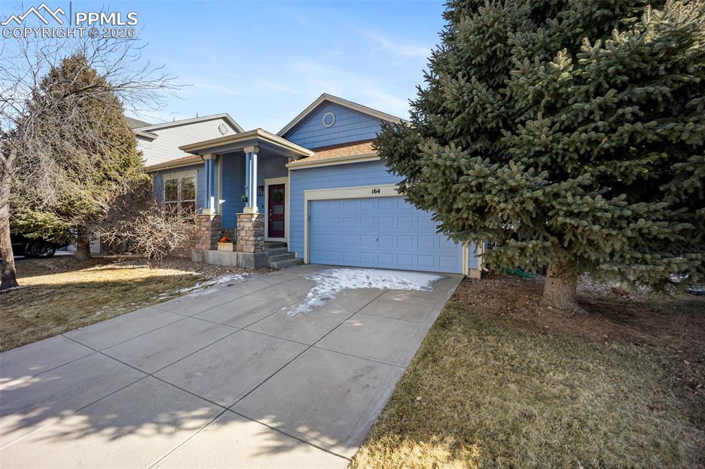164 Apache Plume Street Brighton CO 80601