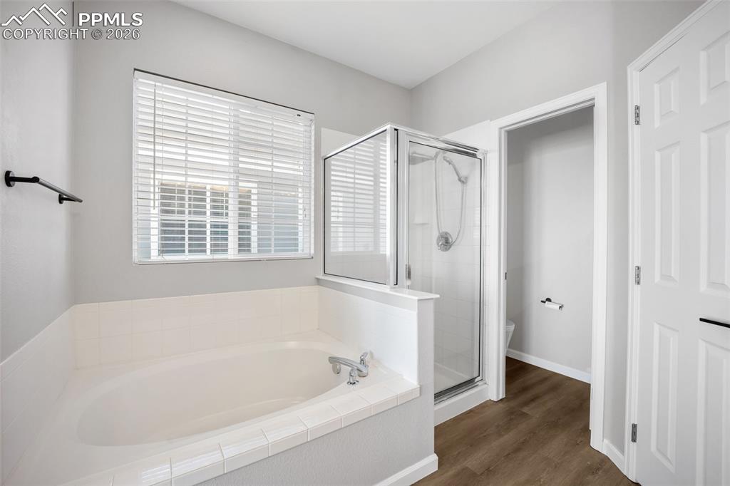 164 Apache Plume Street Brighton CO 80601