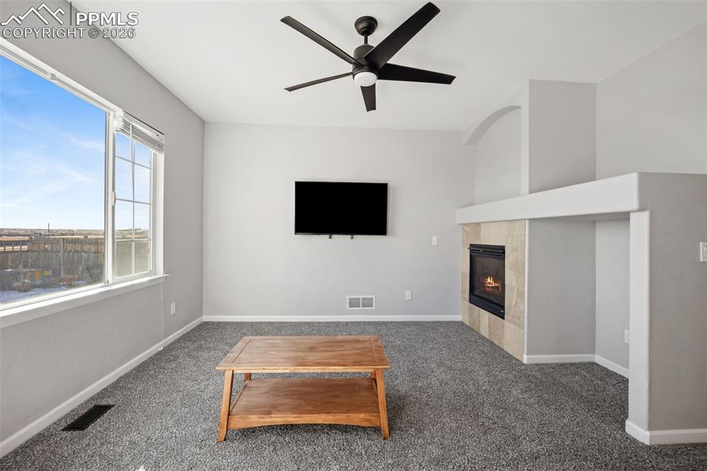 164 Apache Plume Street Brighton CO 80601