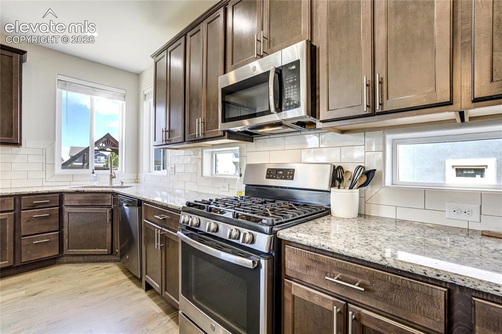7664 Alpine Daisy Drive Colorado Springs CO 80925
