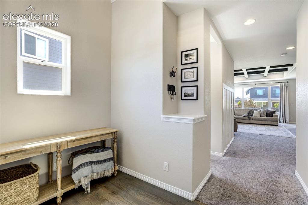 7664 Alpine Daisy Drive Colorado Springs CO 80925