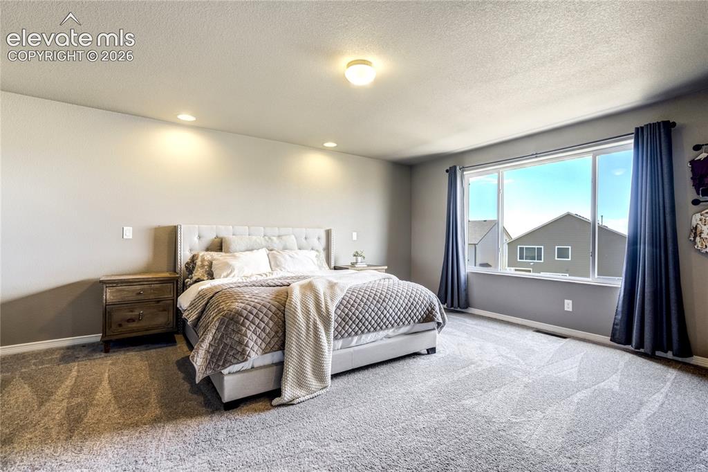 7664 Alpine Daisy Drive Colorado Springs CO 80925