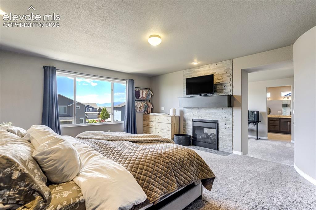 7664 Alpine Daisy Drive Colorado Springs CO 80925
